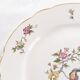 Set of 6 flat plates, Condé de Digoin Sarreguemines model.