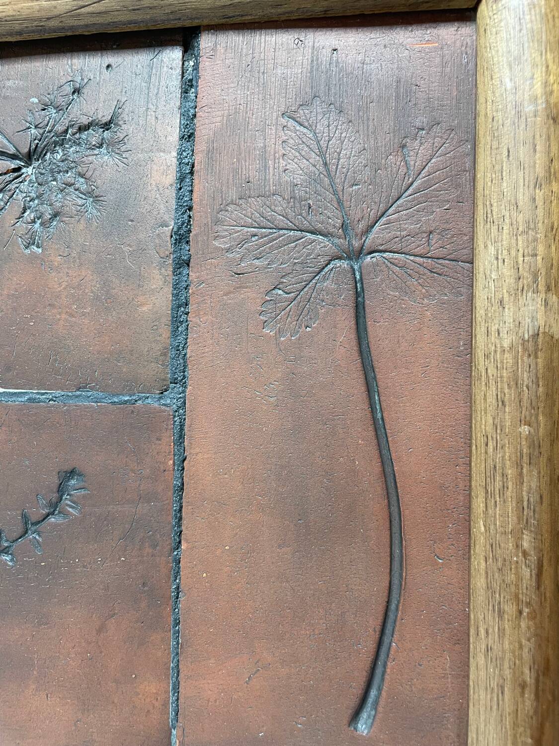 Herbarium coffee table