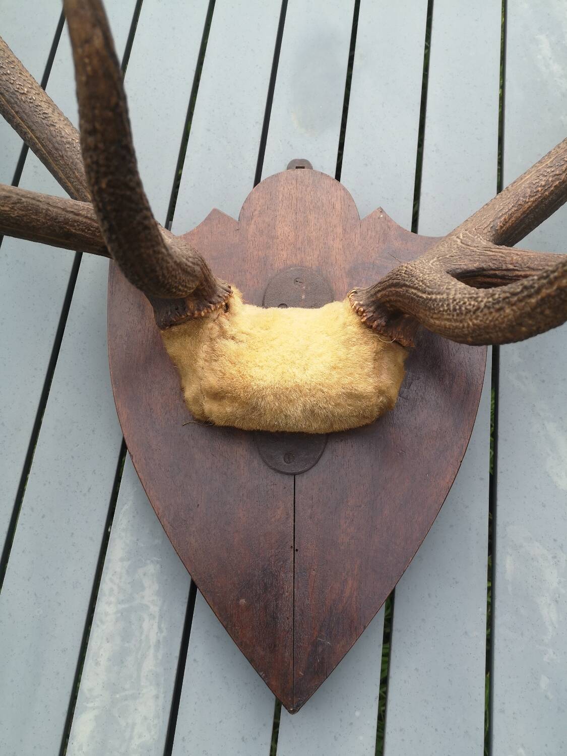 Deer Massacre Trophy