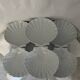 Scallop shell dish