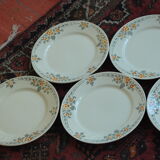 5 old Badonviller flat plates