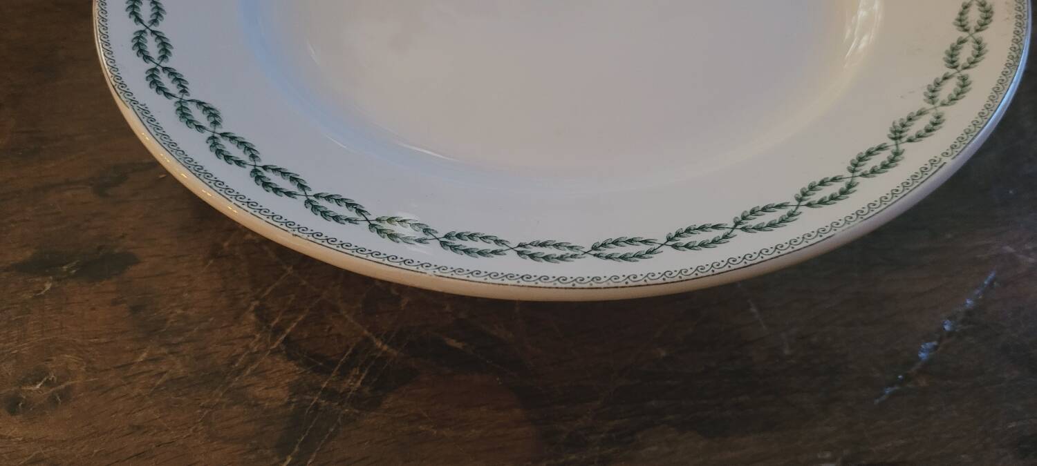 Sarreguemines iron earth plate