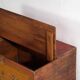 Chinese chest with original painting – China, circa 1900