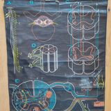 Educational poster La Moëlle épinière Auzoux P. Sougy