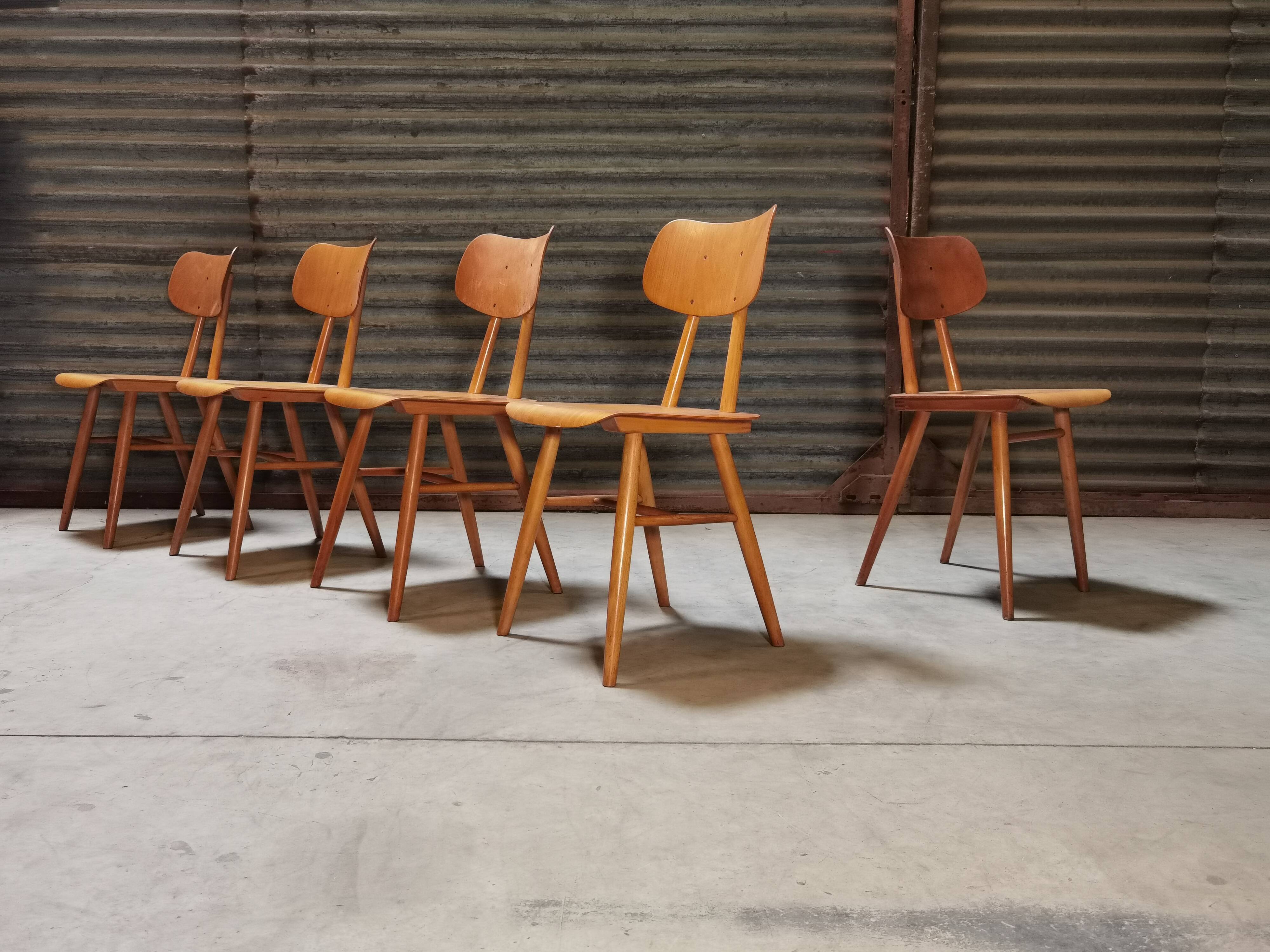 Set of 5 all-wood chairs published by Ton 1960