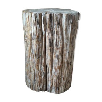 Side table in petrified wood