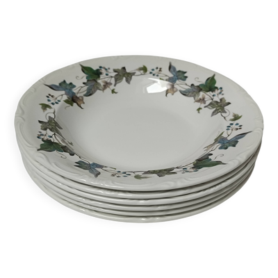 Assiettes creuses porcelaine Royal China Vigo