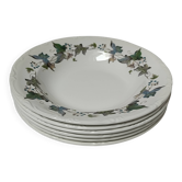 Assiettes creuses porcelaine Royal China Vigo