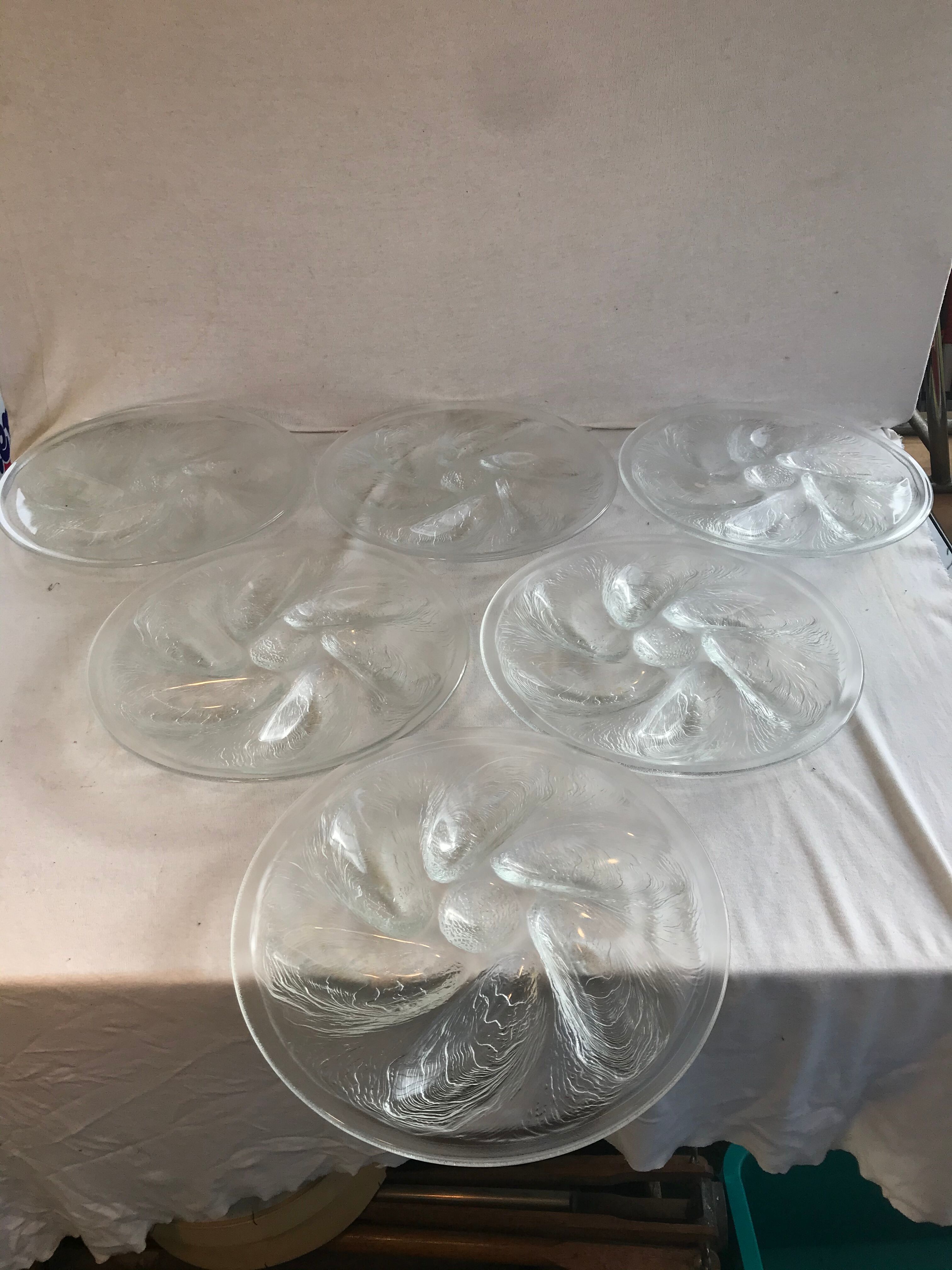 Series 6 old oyster plates Arcoroc moulded glass - vintage box