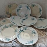 10 antique ironstone dinner plates
