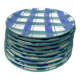 10 blue and green checked ceramic plates