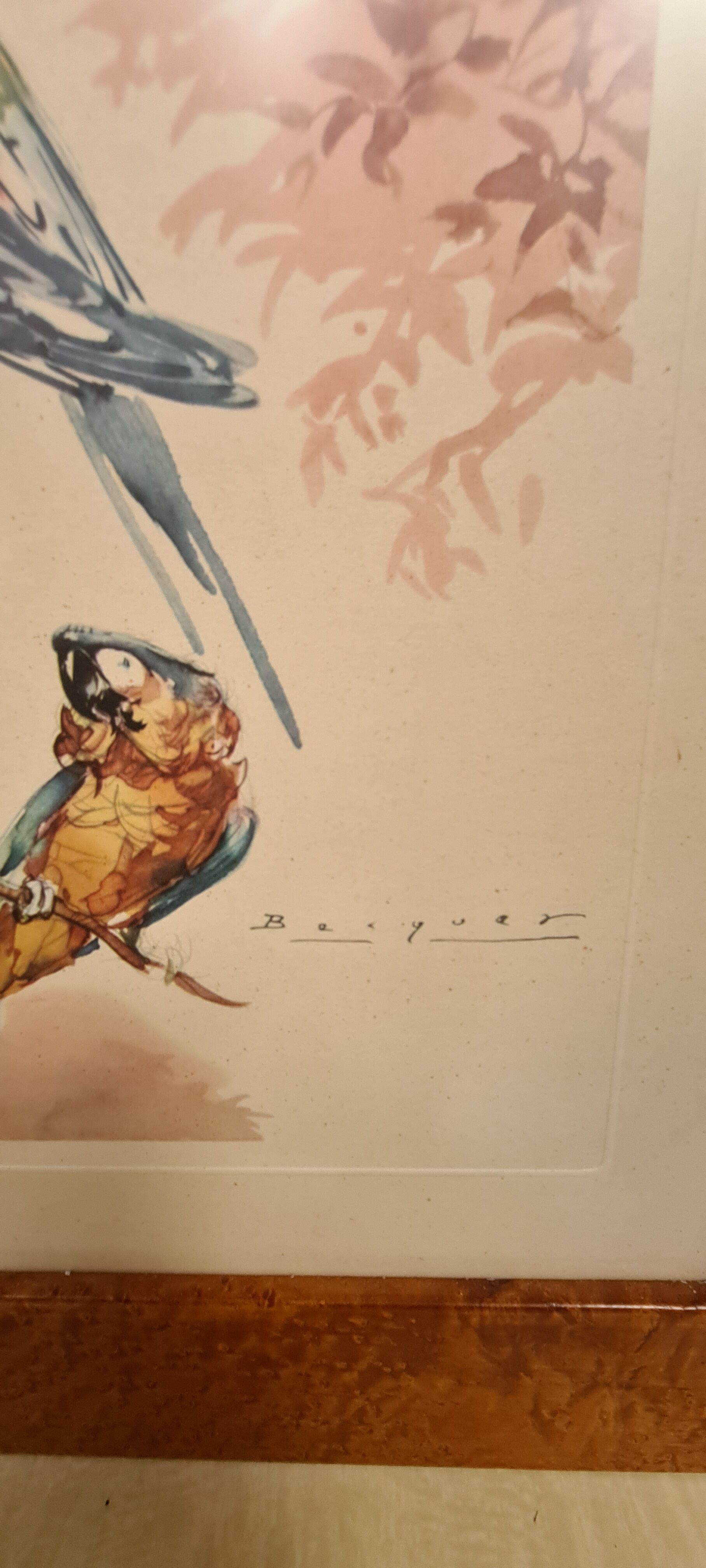 Lithograph birds signed 1996 in beautiful frame in magnifying glass 82xx50