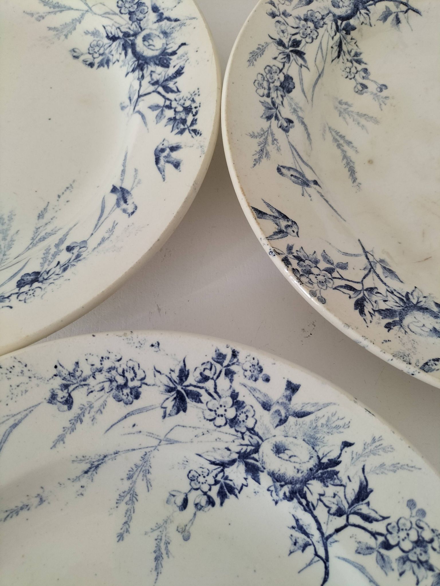 Assiettes Creil Montereau Modèle Linotte