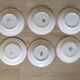 Set of 6 dinner plates in Terre de fer earthenware, blue color