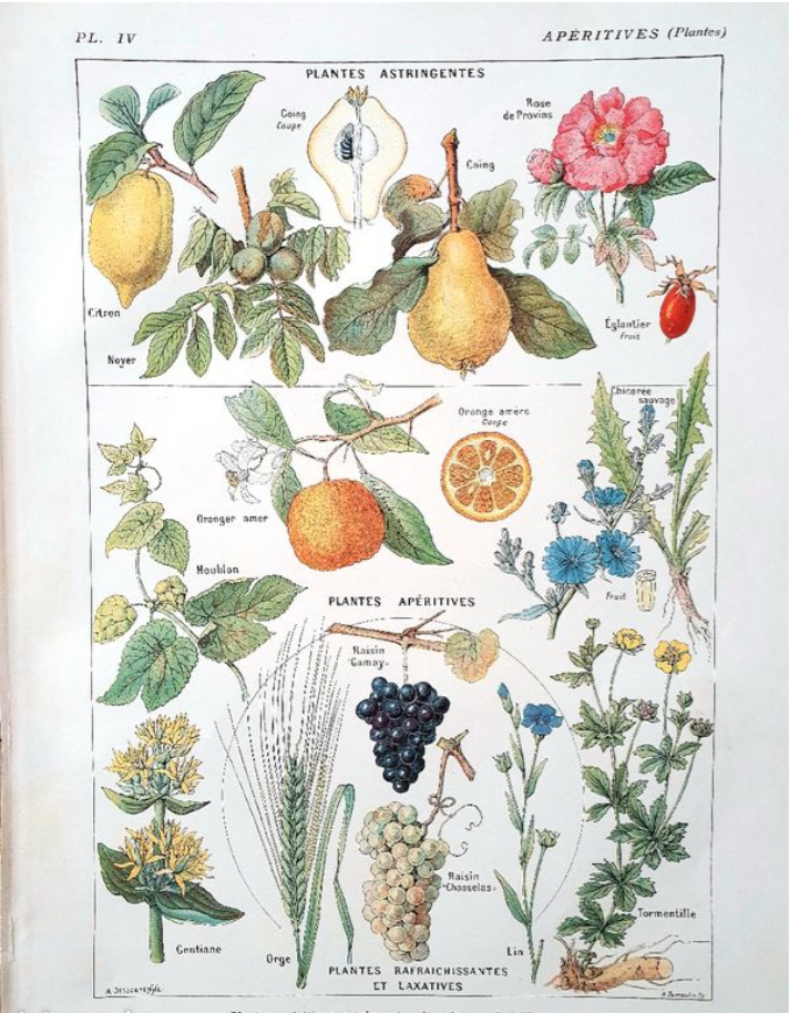 Old board years 20 aperitifs