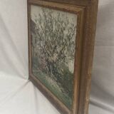 Painting signed Oil on canvas dimension: height -50 cm- width -56 cm-