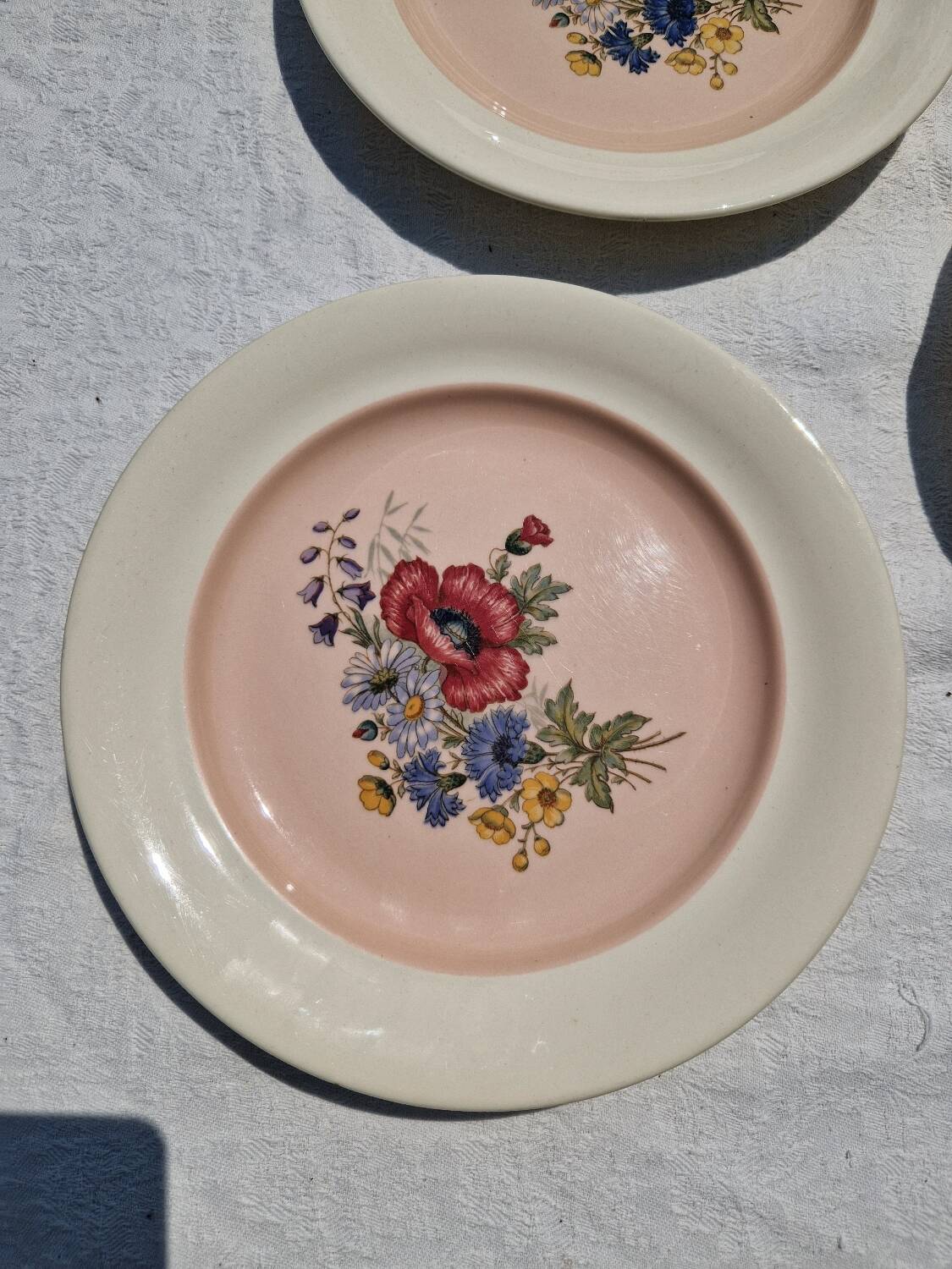9 villeroy et boch porcelain dinner plates model 1584 25 cm
