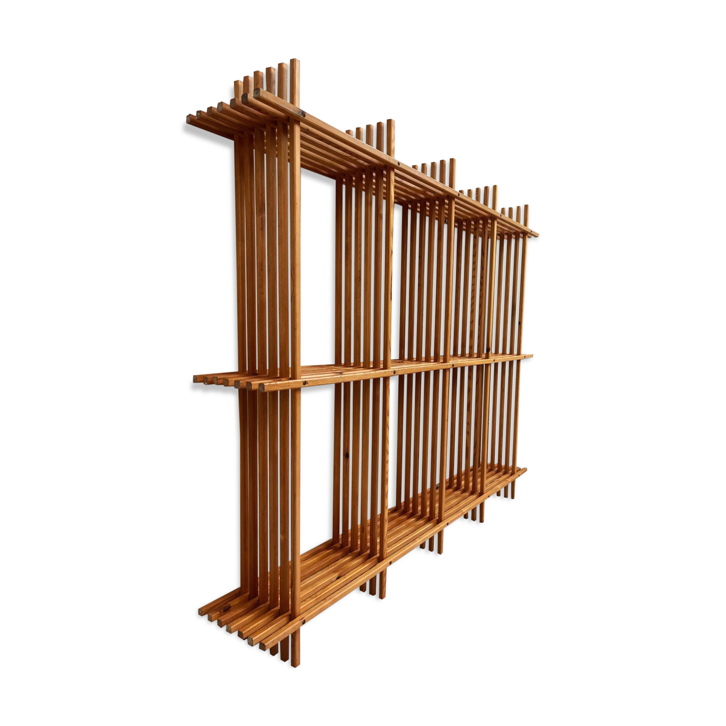 Modernist library by Thorvald Lissau.