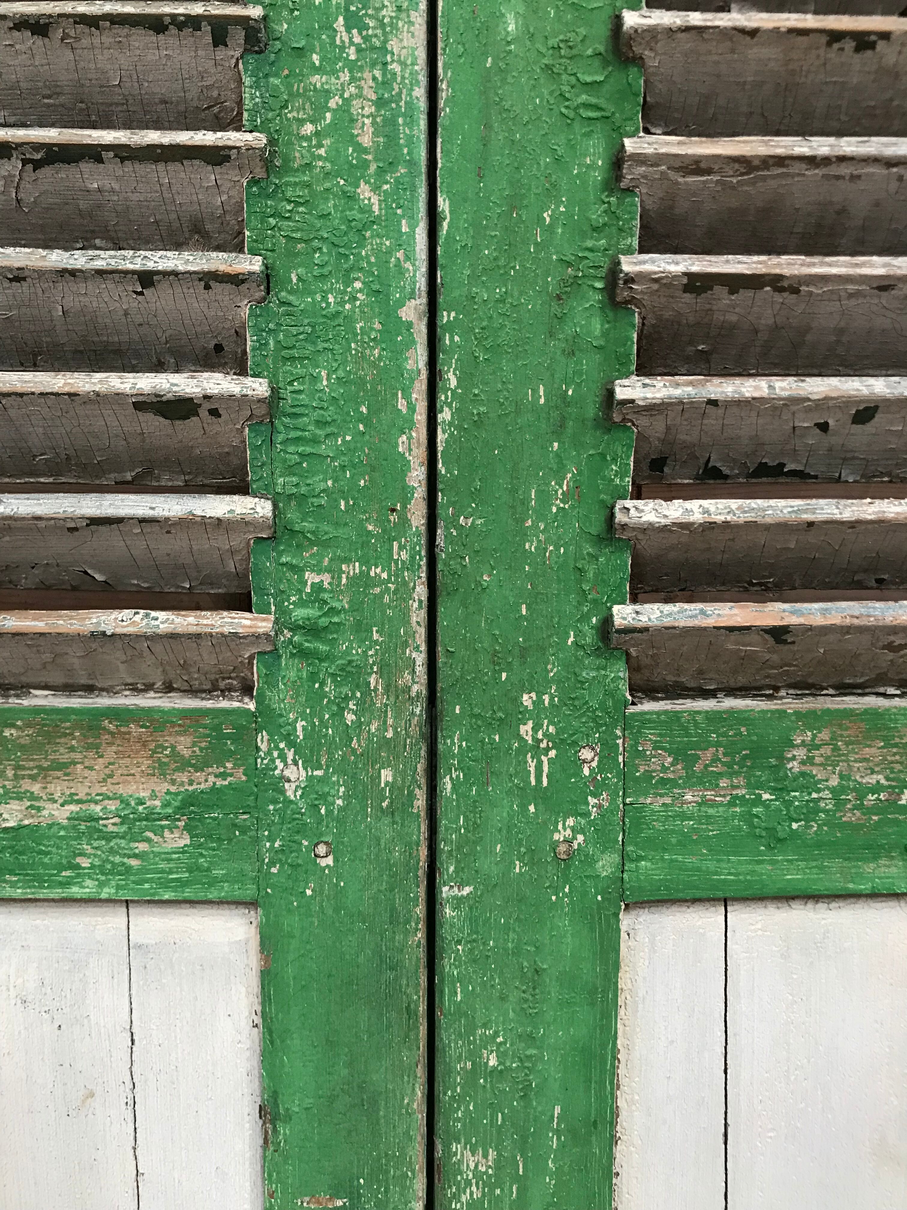 Old pair of shutters