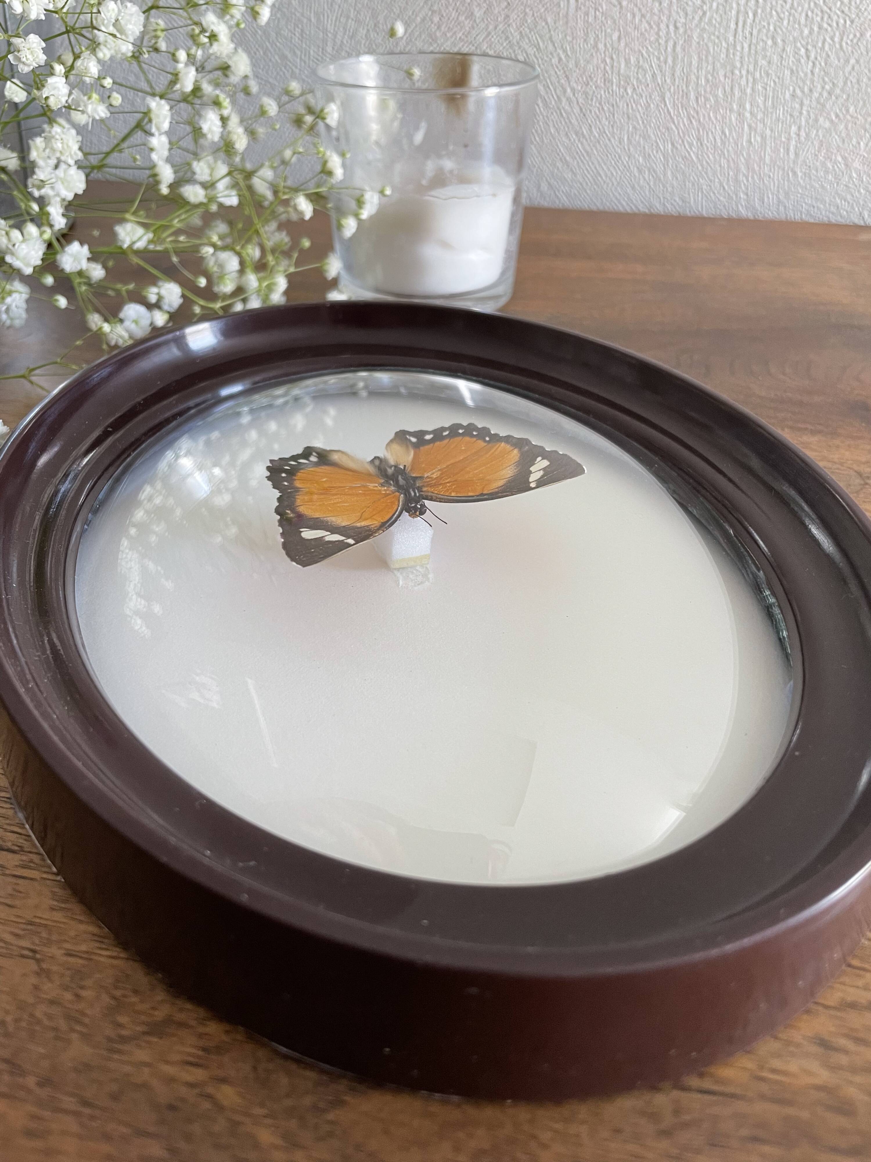 Butterfly frame naturalized curved glass