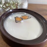 Butterfly frame naturalized curved glass