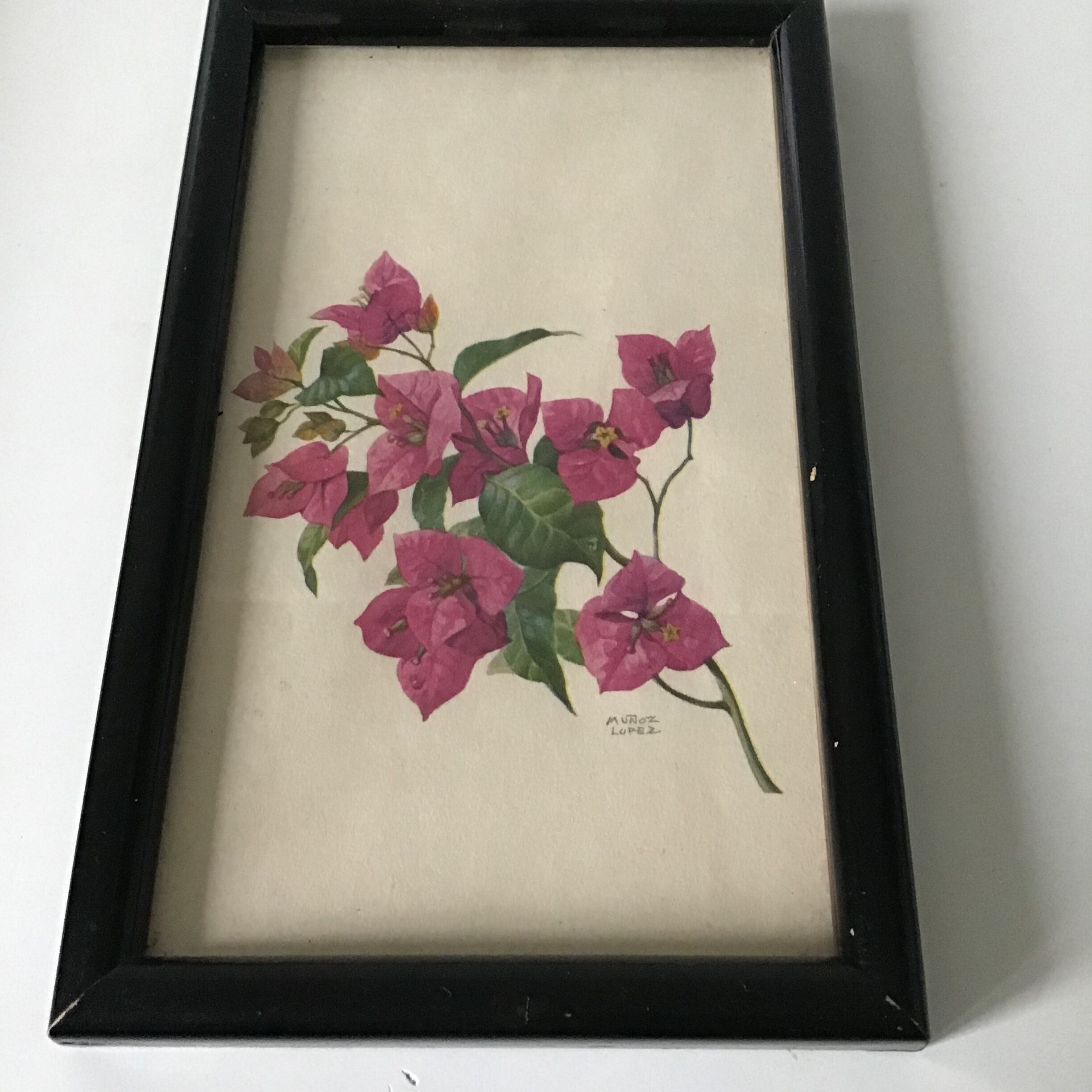 Series of small black wooden frames with an antique engraving signed with fleus. Champetres
