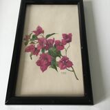 Series of small black wooden frames with an antique engraving signed with fleus. Champetres
