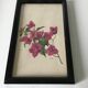 Series of small black wooden frames with an antique engraving signed with fleus. Champetres