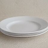 3 plates iron earth Sarreguemines