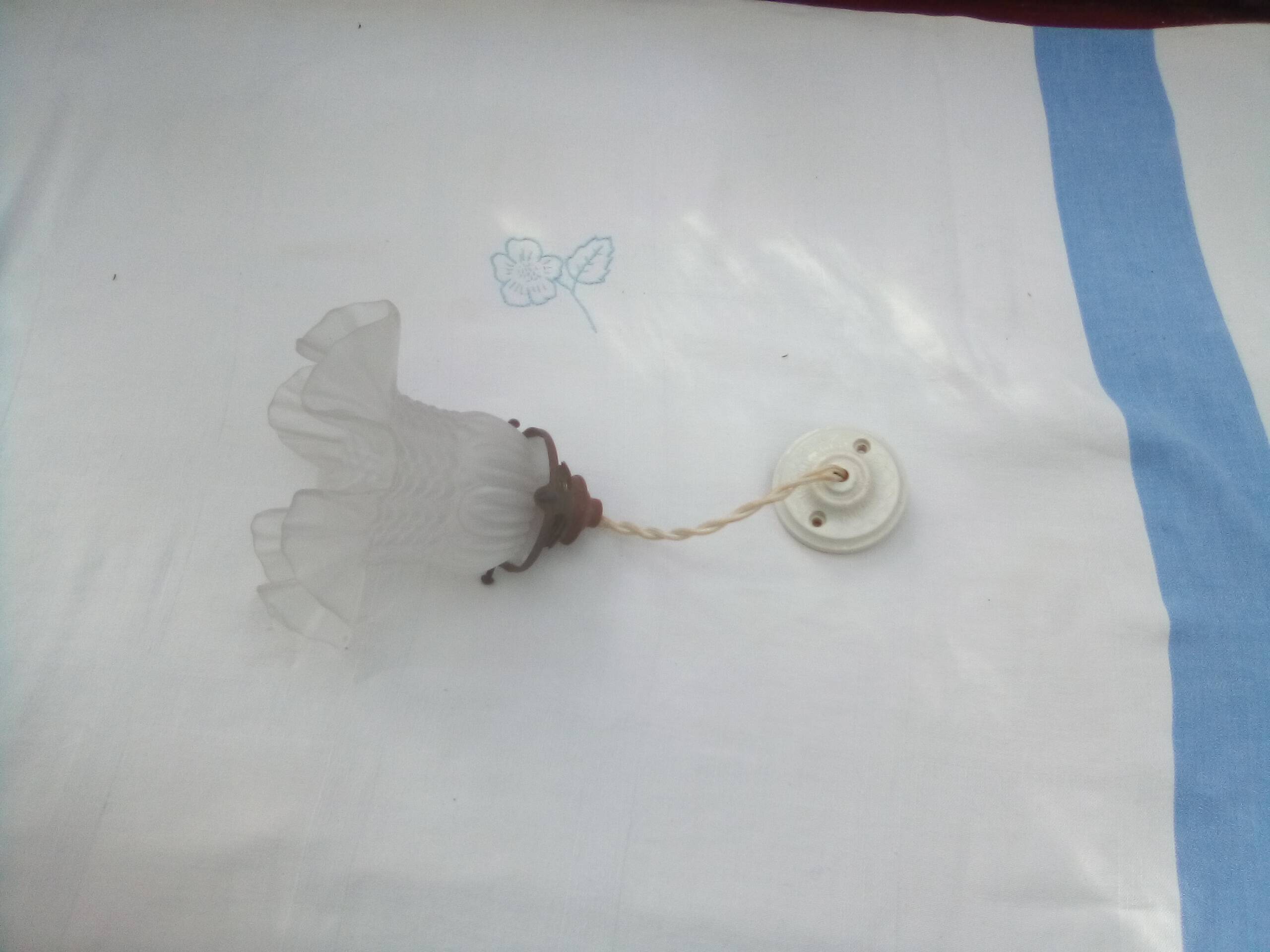 Glass tulip pendant light