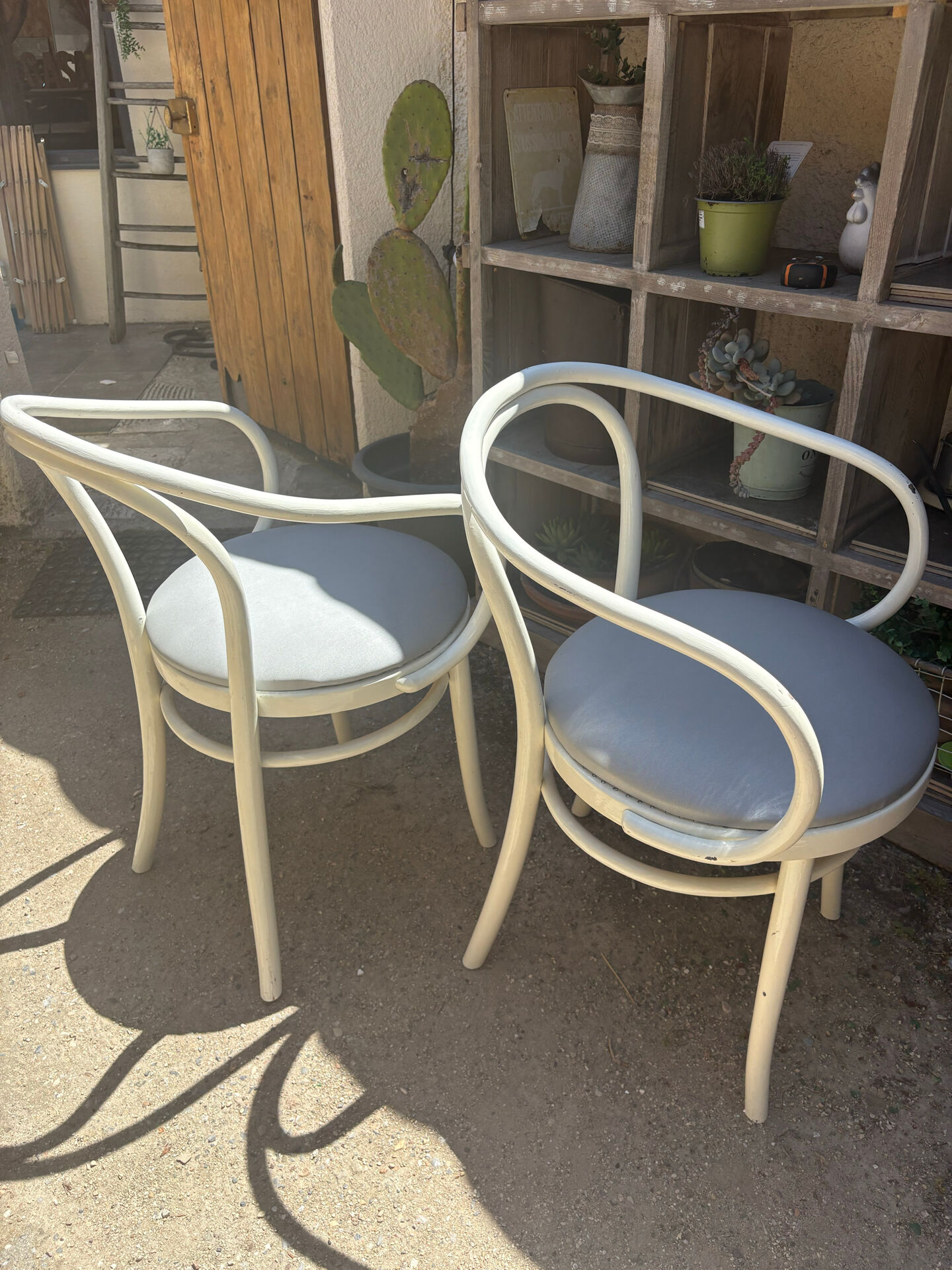 Thonet chairs "the curvaceous one"