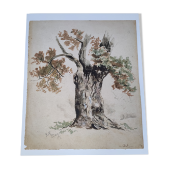 Watercolor on old paper, pattern oak