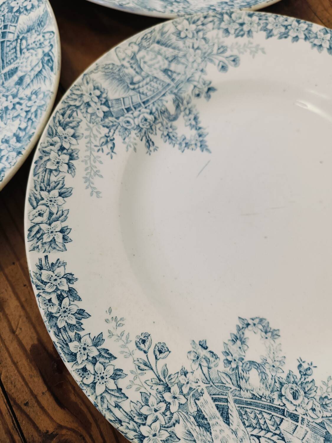St Amand Lebacqz & Bouchart “Colombier” plates