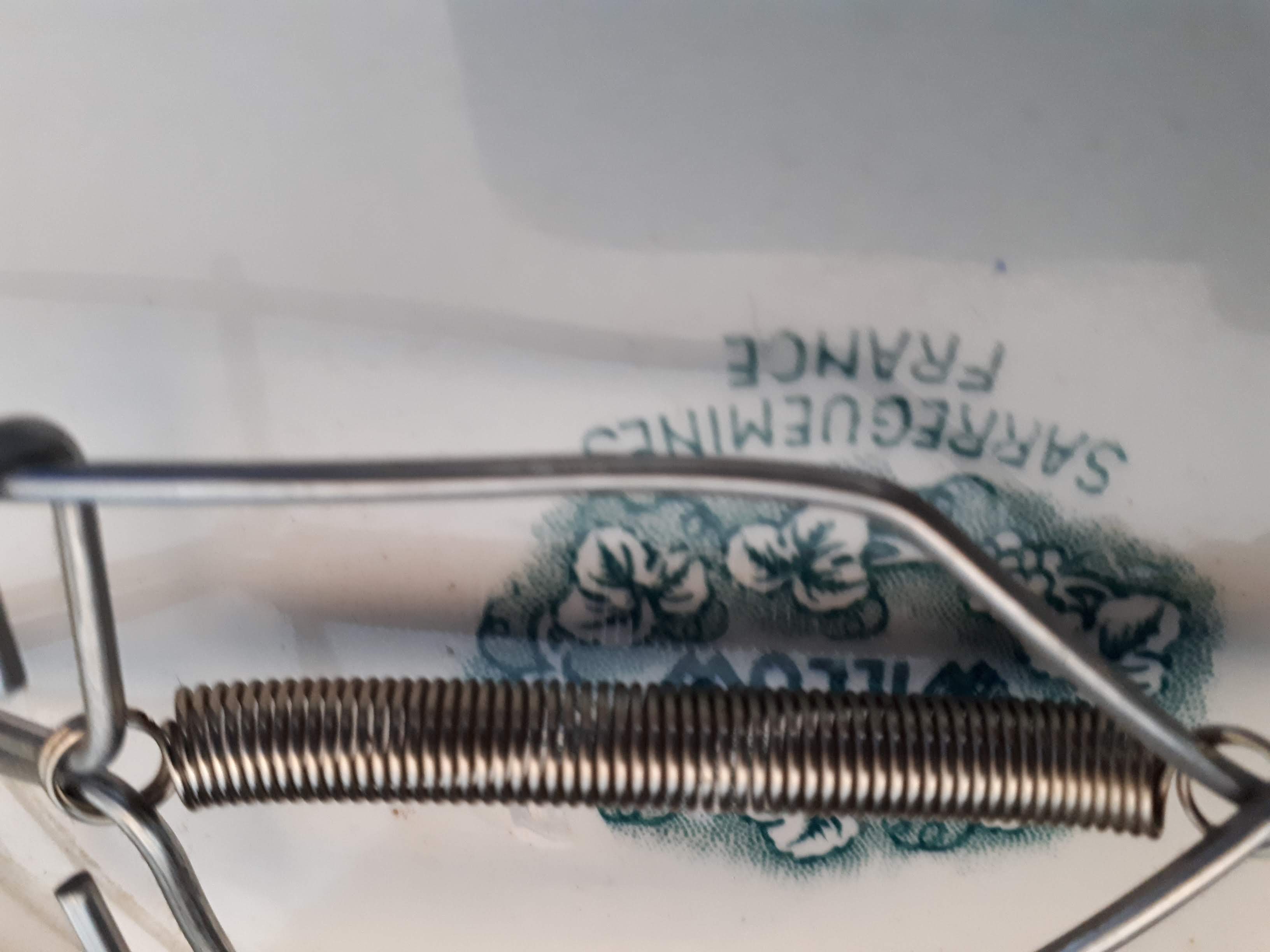 Plate Faïence sarreguemines "Willow"