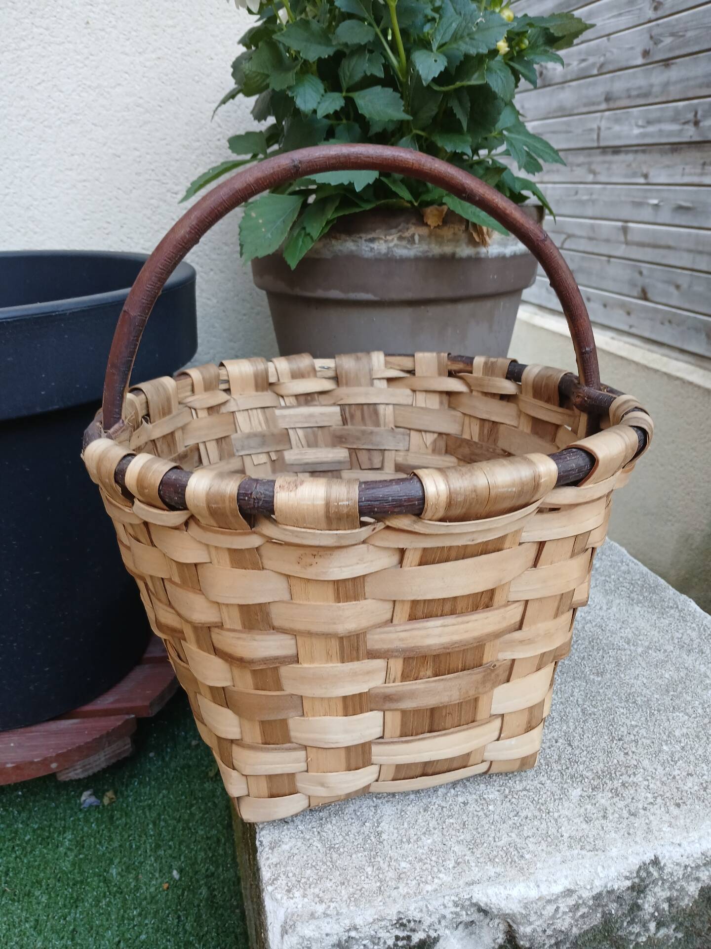 Panier ancien à champignons