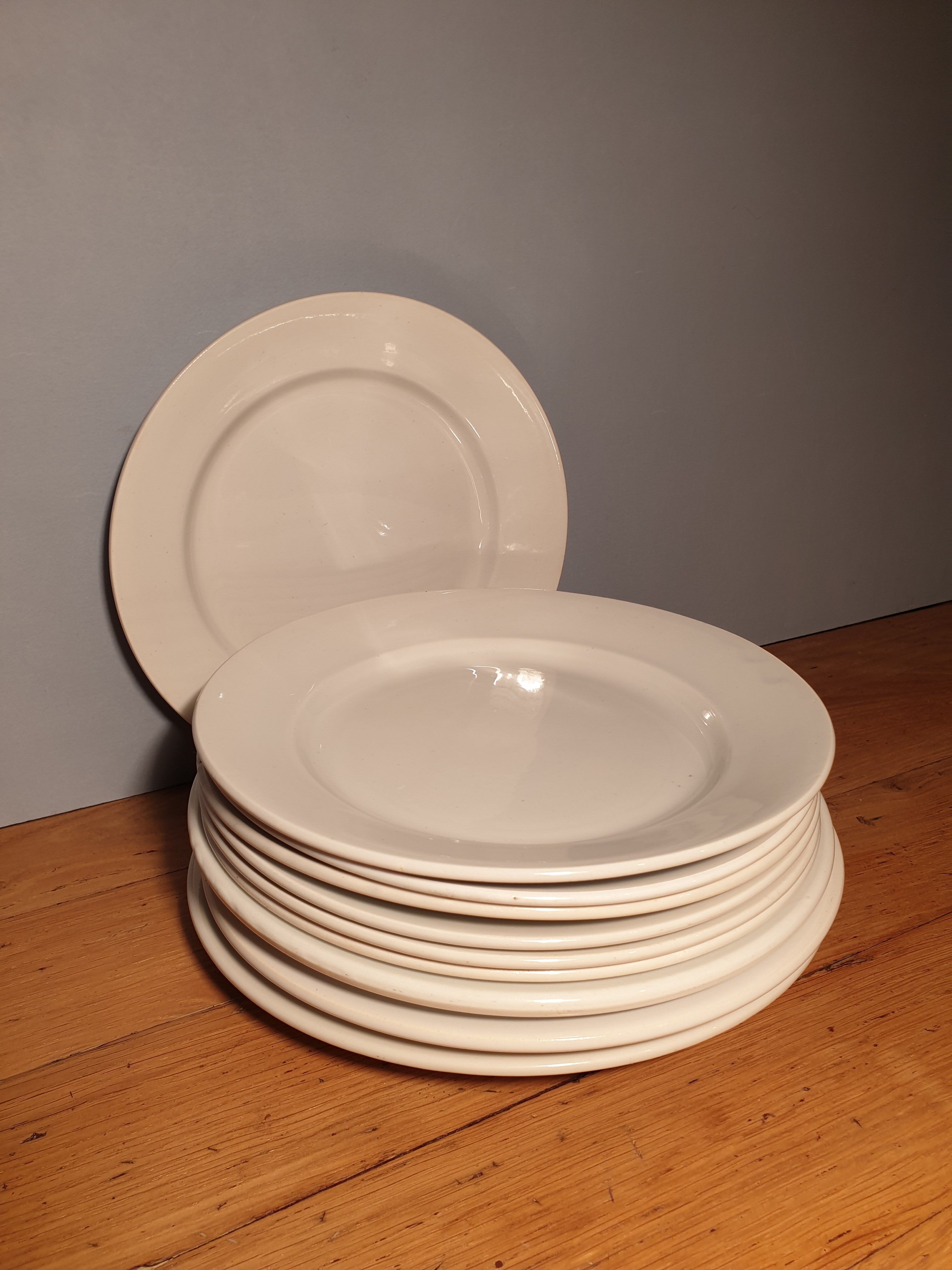 Set of 10 flat plates