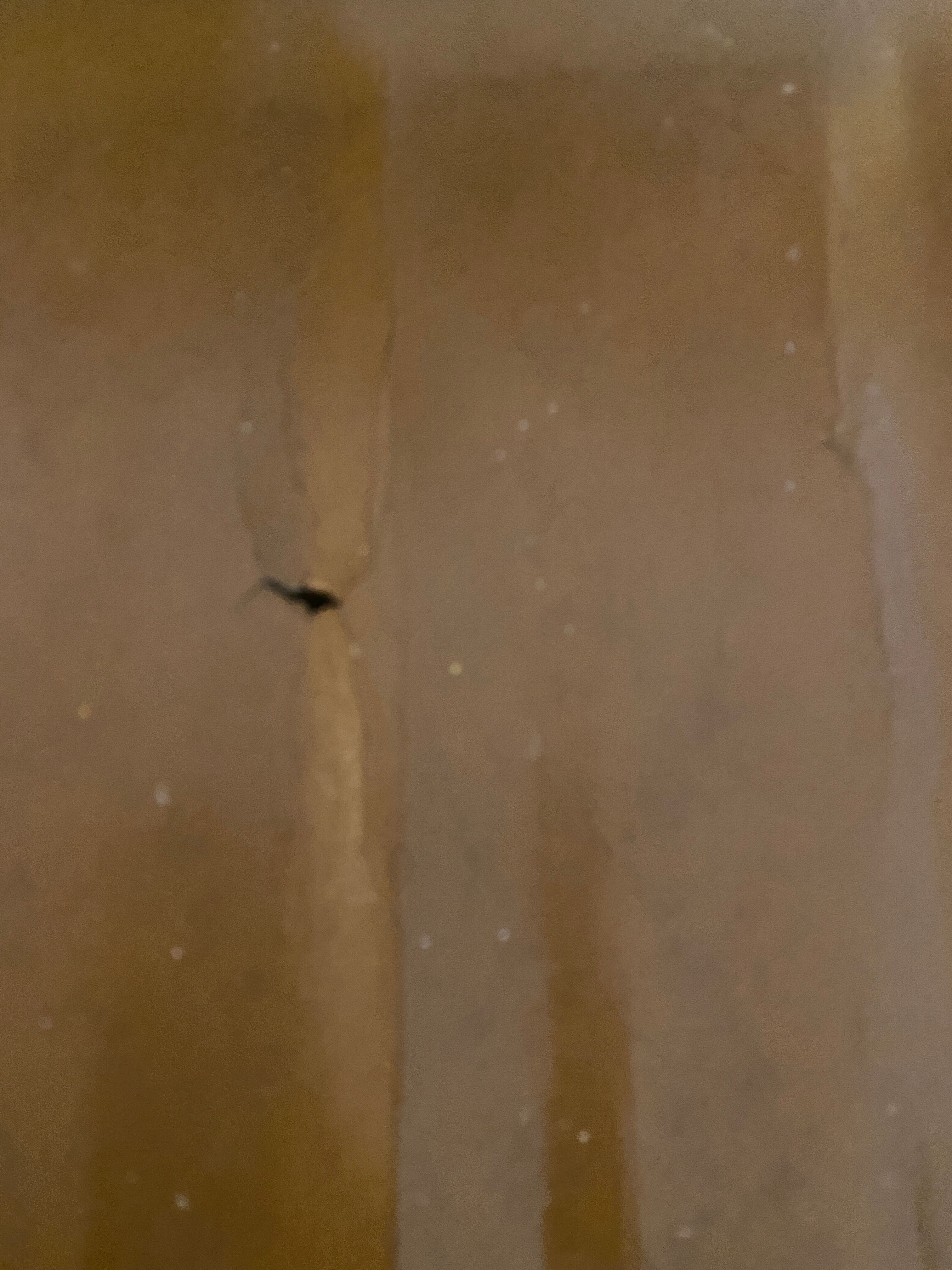 Chairs bistro feet compass