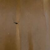 Chairs bistro feet compass