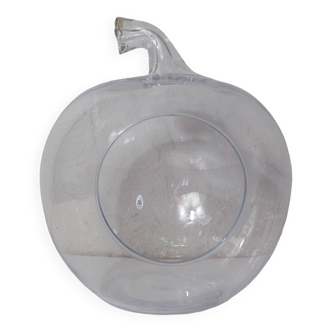 Vintage terrarium glass apple jar