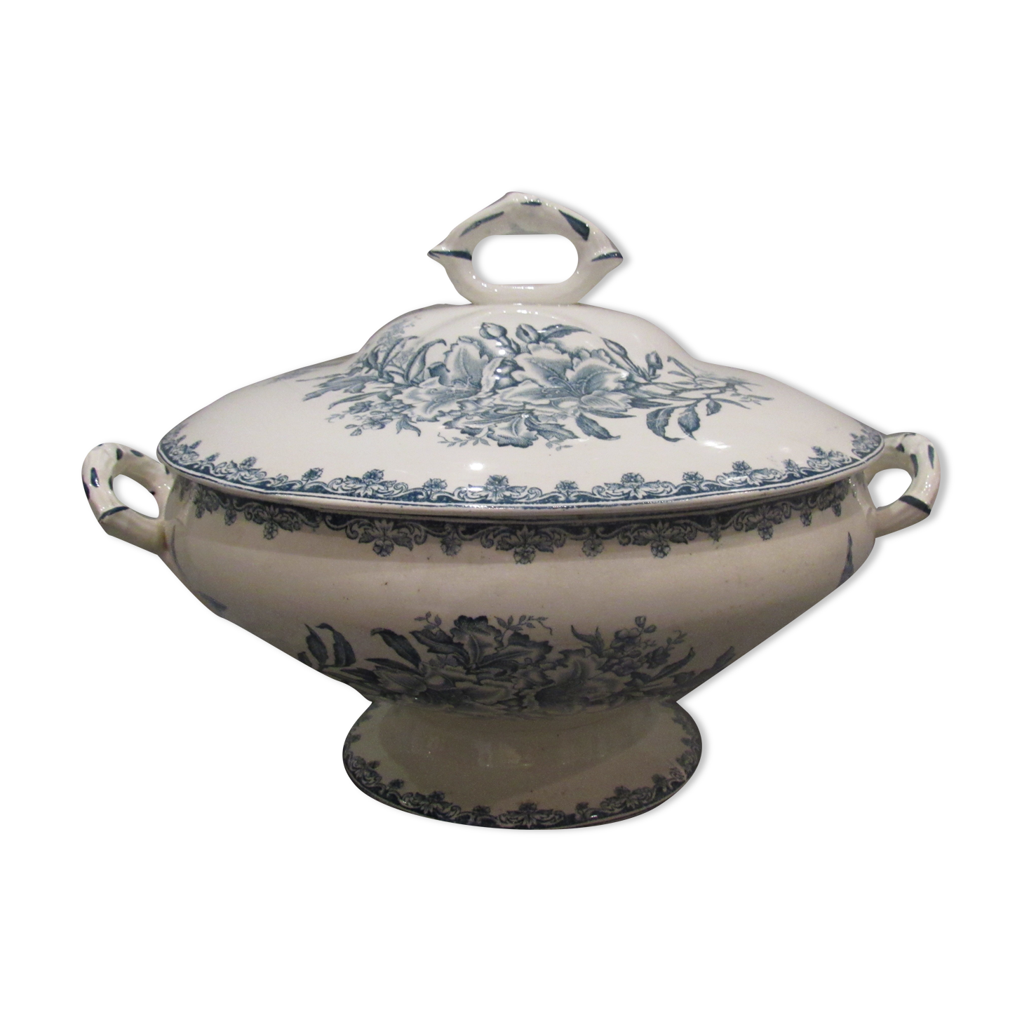 Tierra del Fuego Bengali model