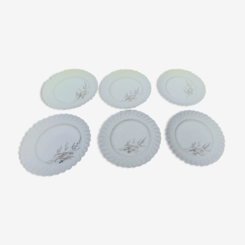 6 assiettes plates en porcelaine de Limoges Haviland