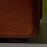 Coronado Armchair by Afra and Tobia Scarpa for B&B Italia, 1960s