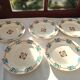 5 flat plates Terre de fer Berck / Longchamp