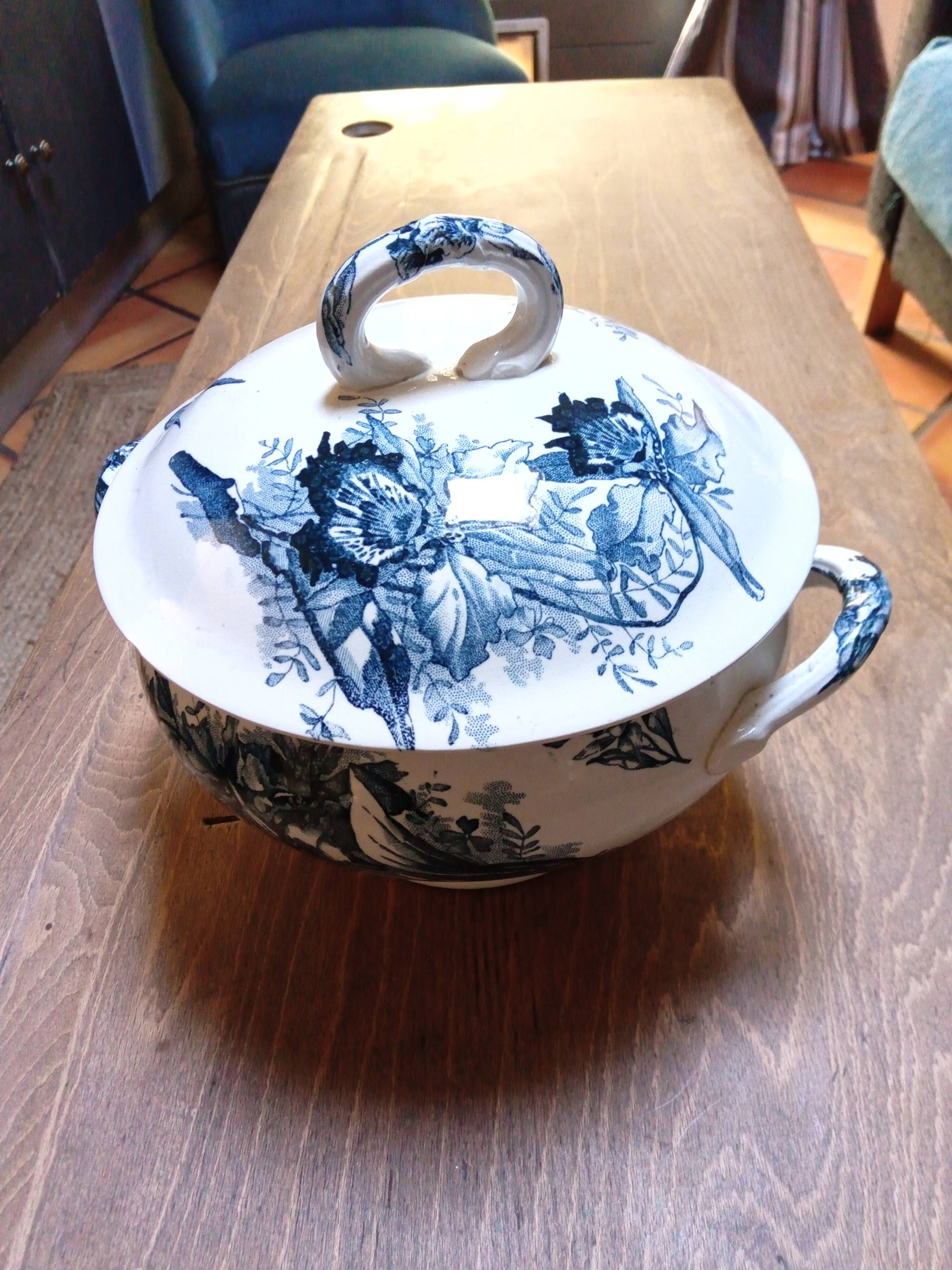 Tureen Iron Earth Orchids