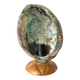 Lampe vintage coquillage ormeau