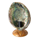 Vintage abalone shell lamp