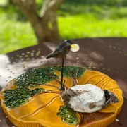 Ceramic cheese platter Vallauris, crow and tree, years