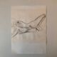 Naked back lying down