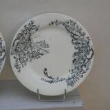 Lots of 12 Salins plates