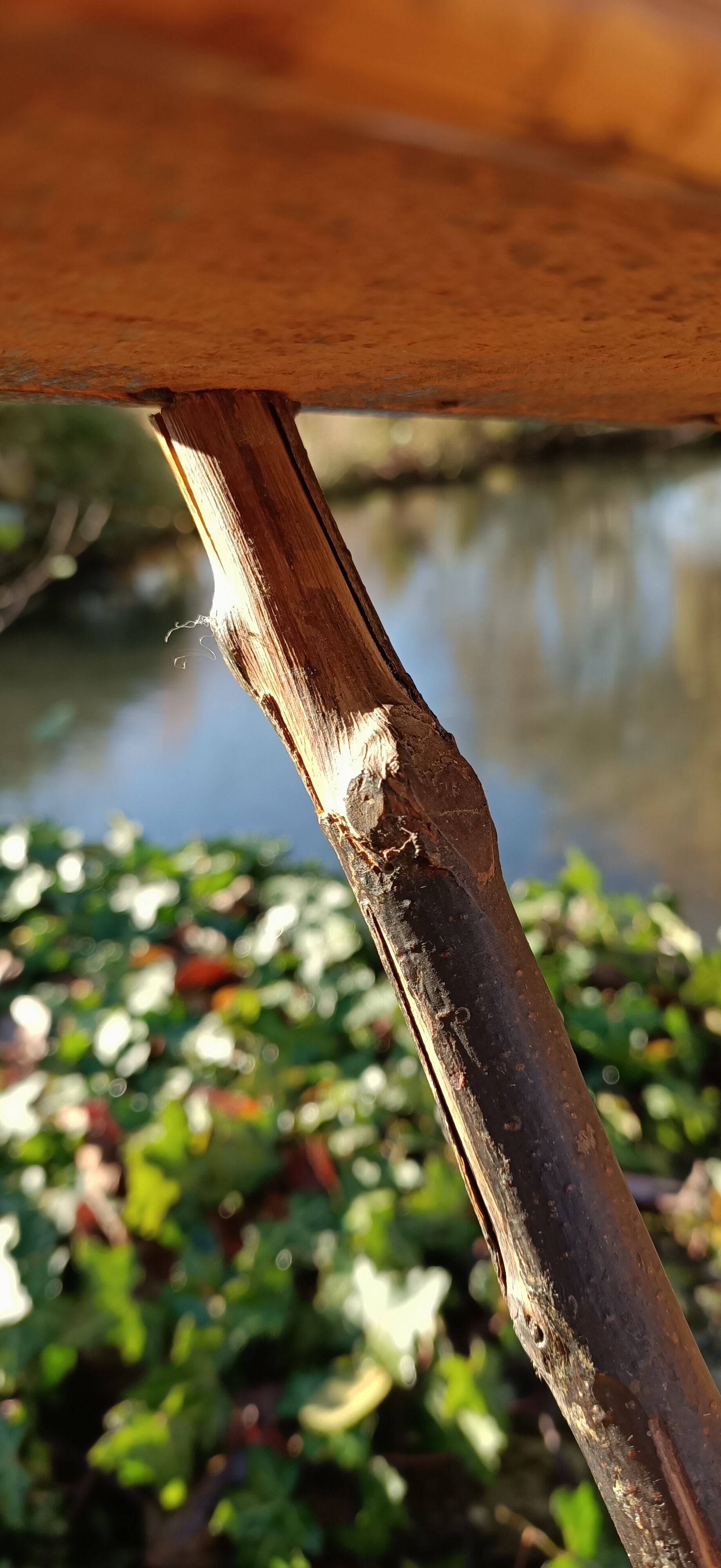 Very old vintage wicker lounge chair